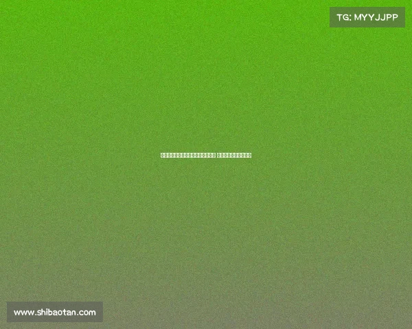 莱比锡队史出售球员前五名全赴英超 谢什科紧随其后成焦点